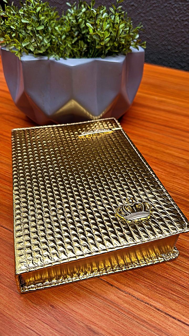 100 - Biblía Sagrada