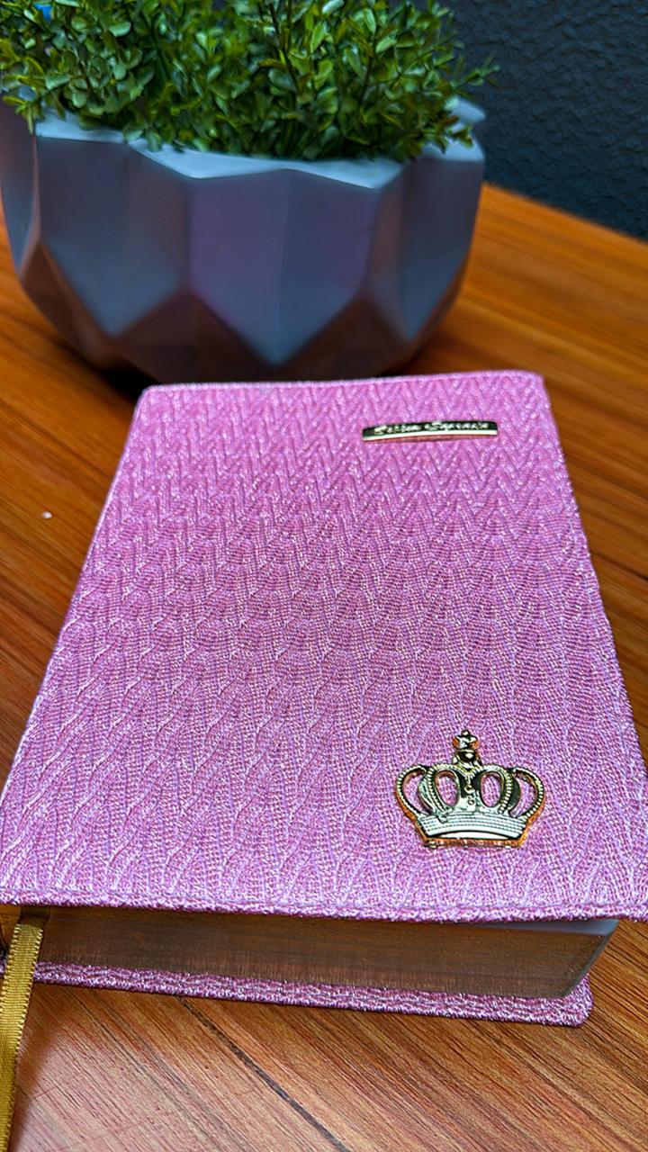 100 - Biblía Sagrada